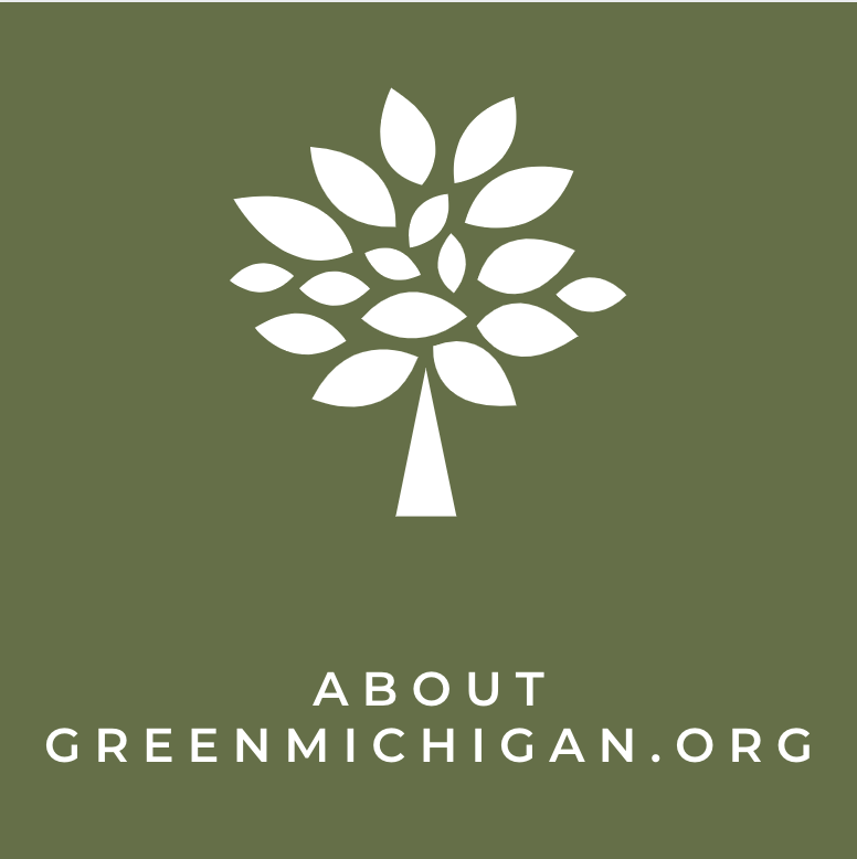 Screen Shot 2021-02-28 at 10.31.49 AM